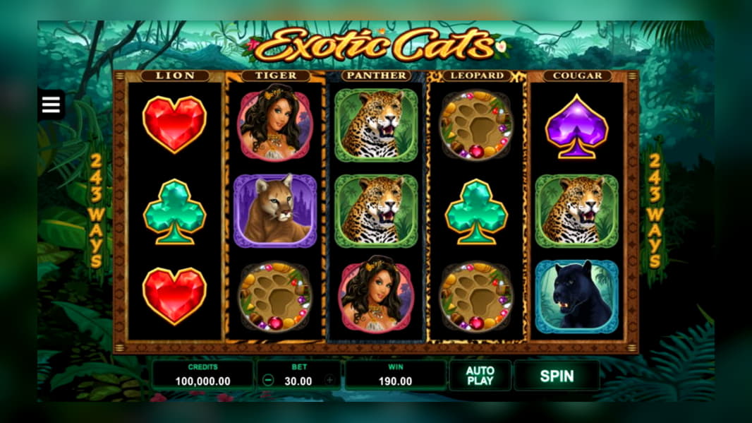 820% No Rules Bonus! at Leo Dubai Casino
