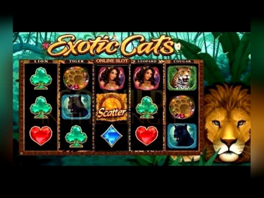 695% Match Bonus Casino at Vegas Hero Casino
