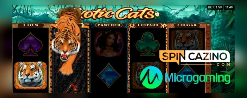 ﻿$425 free chip at LV Bet Casino
