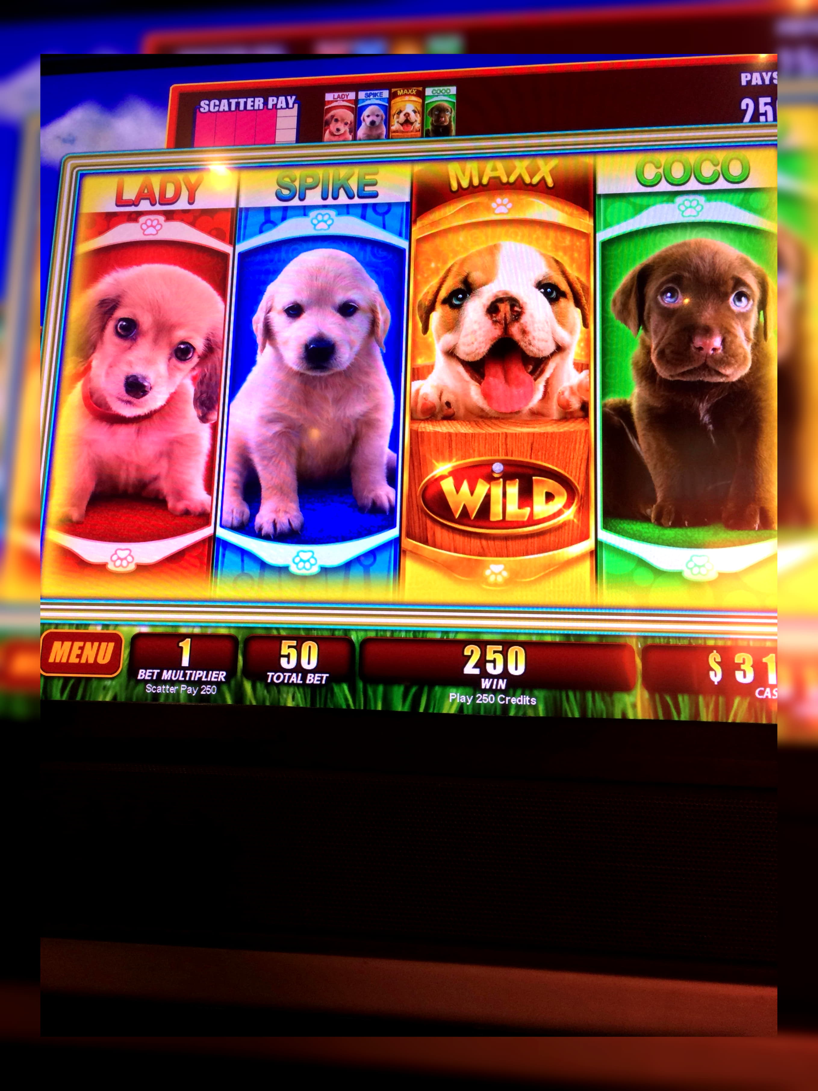 Eur 585 free chip casino at Wink Slots Casino