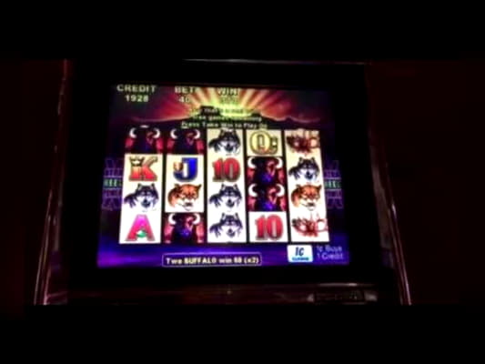 790% Deposit Match Bonus at Leo Dubai Casino