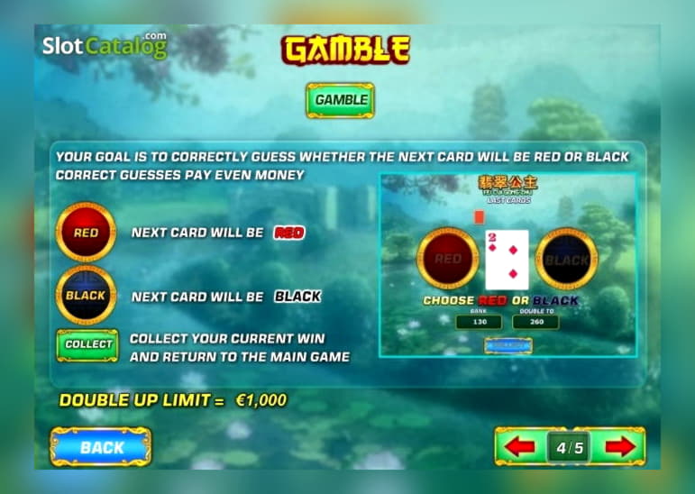 555% First Deposit Bonus at Fruity Casa Casino