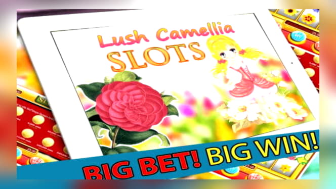 Eur 230 Free Casino Tournament at Ikibu Casino