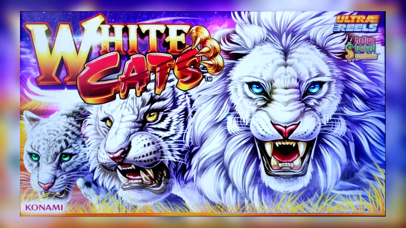 715% No Rules Bonus! at Jackpot City Casino