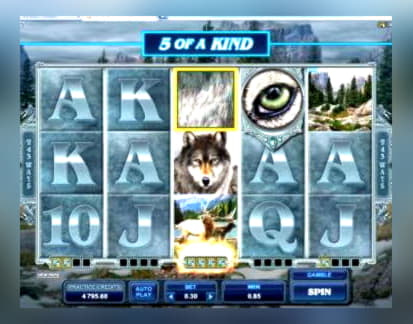 €3955 No deposit bonus casino at Net Bet Casino