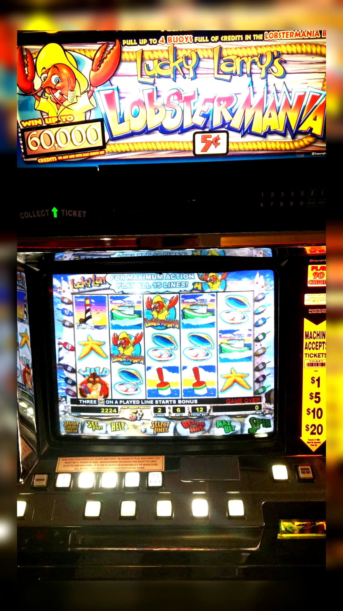 565% Best Signup Bonus Casino at Leo Dubai Casino