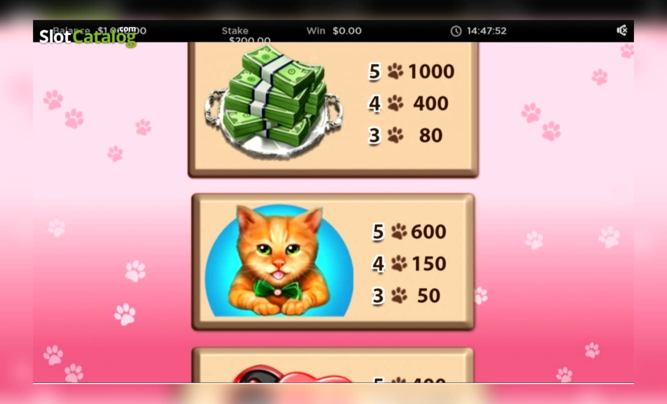 £885 Casino Tournament at Spin Palace Casino