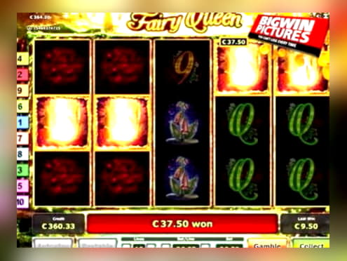 Eur 444 FREE Chip at Net Bet Casino