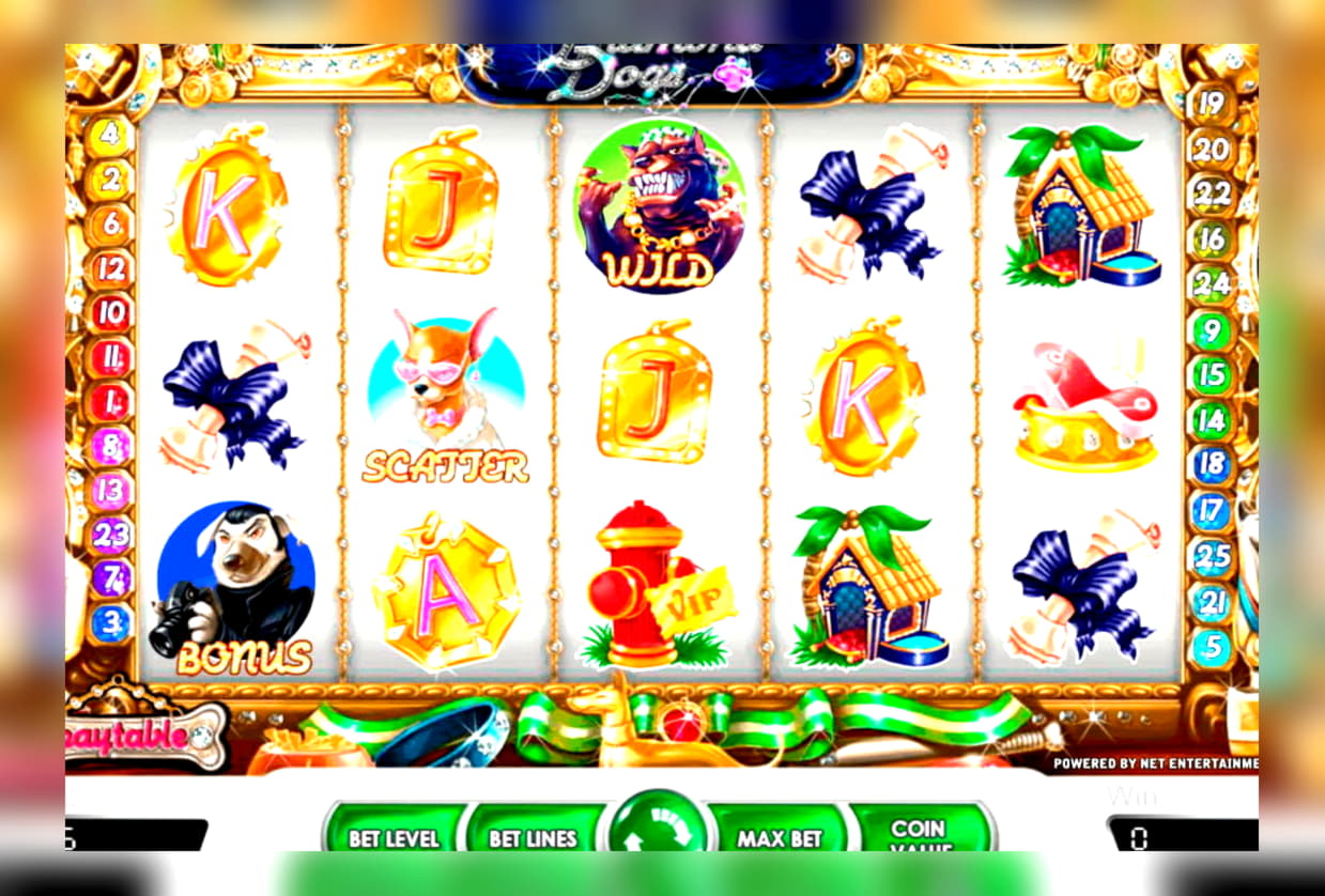 33 Loyal Free Spins! at Ikibu Casino