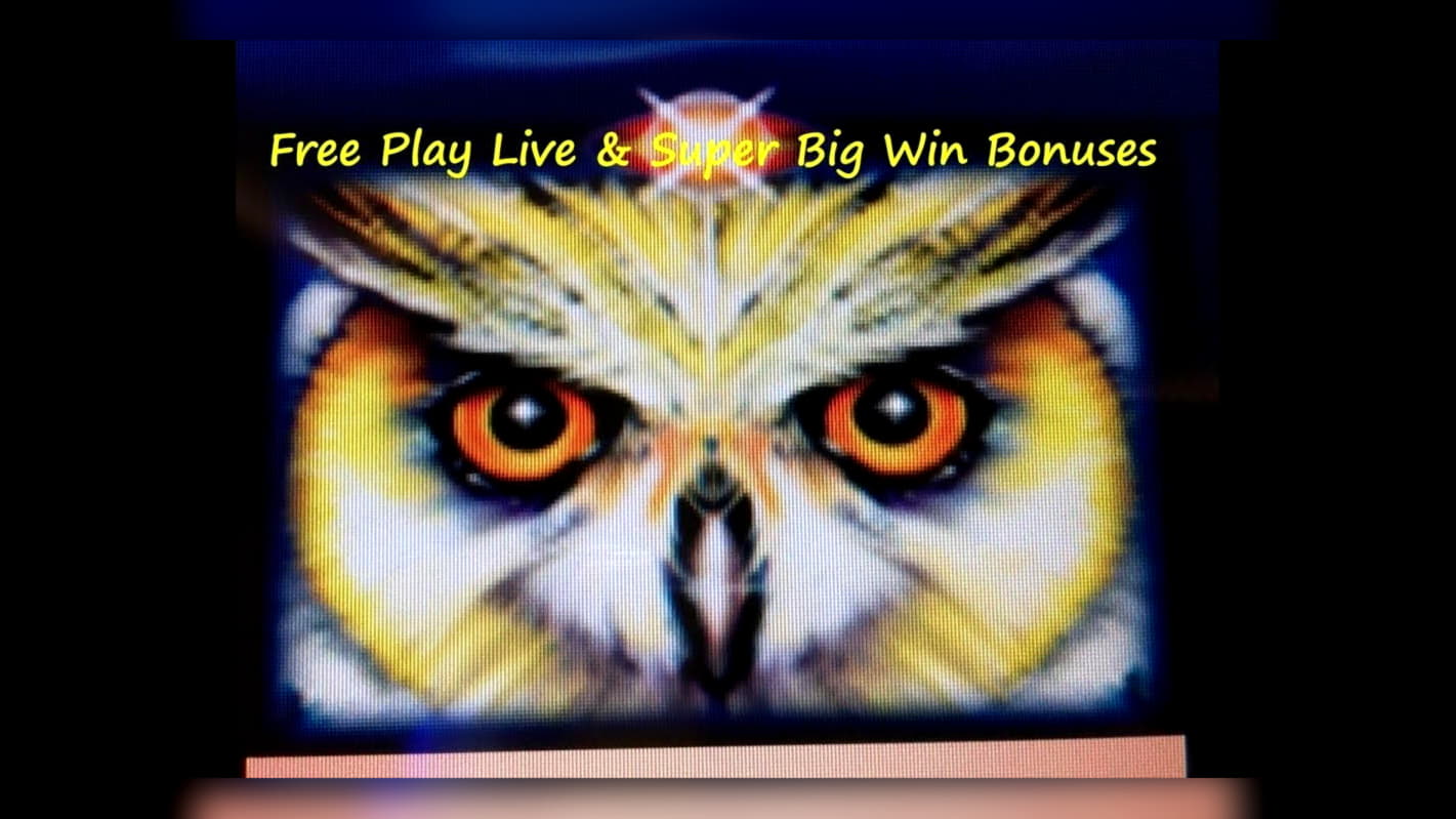 870% Best signup bonus casino at BGO Casino