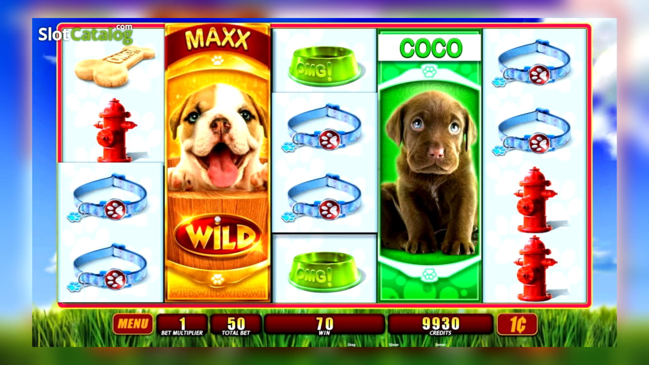 245 free spins no deposit casino at Spinland Casino