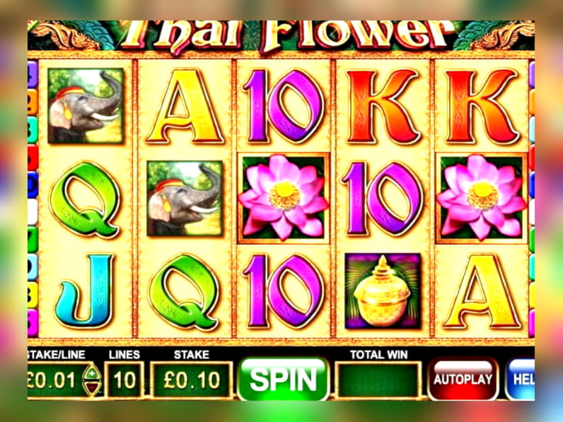 450% Match bonus casino at Leo Dubai Casino