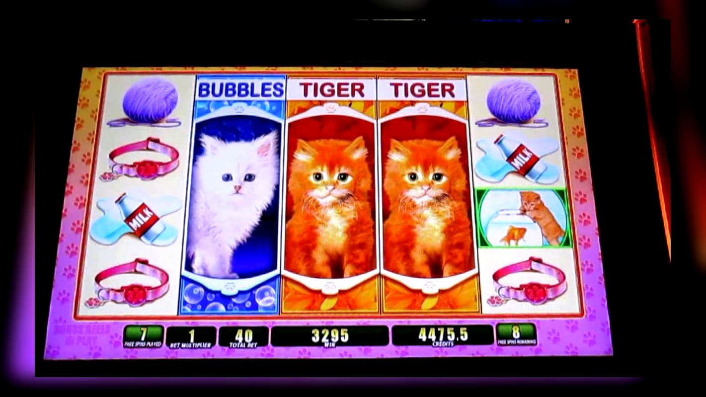 40 Loyalty Free Spins! at Mr. Win Casino