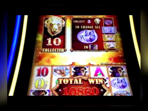 Eur 875 Casino tournaments freeroll at Rizk Casino