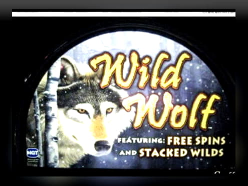 740% Match at a Casino at Fruity Casa Casino