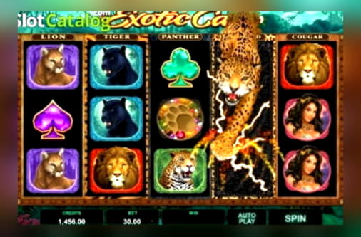 Eur 4625 NO DEPOSIT at Betway Casino