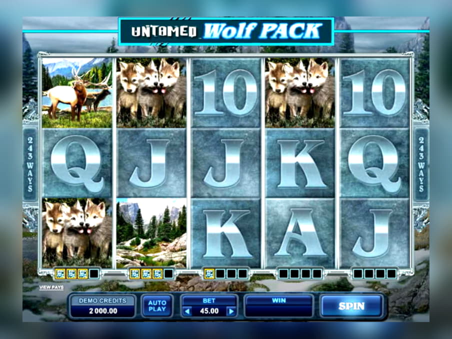 EUR 935 Daily freeroll slot tournament at Wink Slots Casino