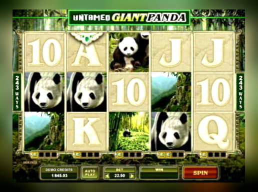 $44 Casino Tournament at LV Bet Casino