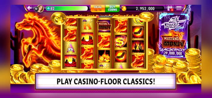 260 Free Spins no deposit at Fruity Casa Casino