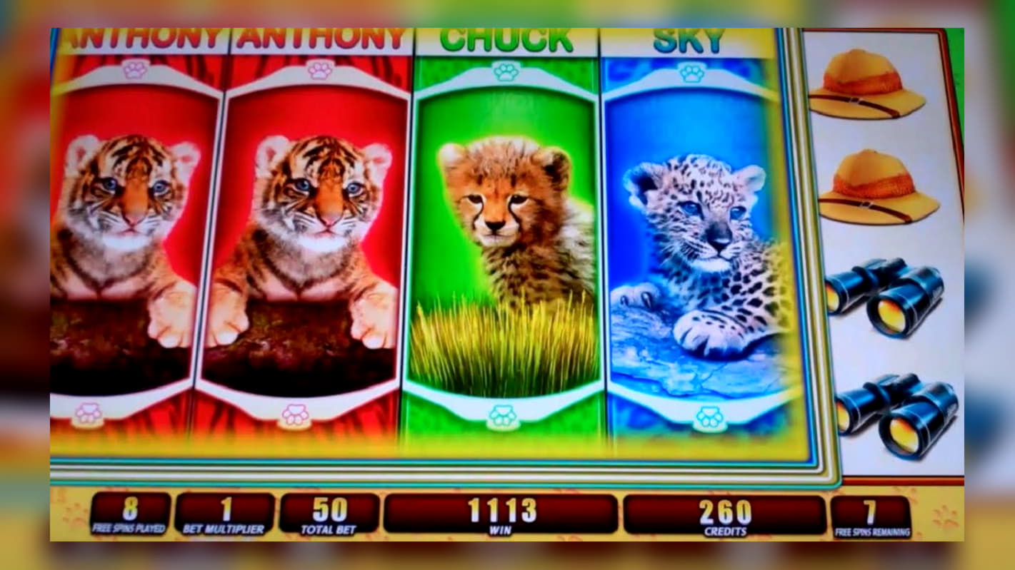 215 FREE Spins at King Billy Casino