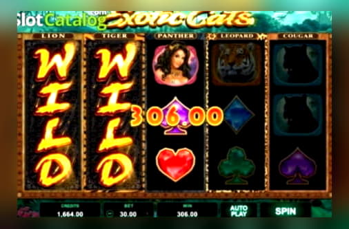 240 Free Spins right now at BGO Casino