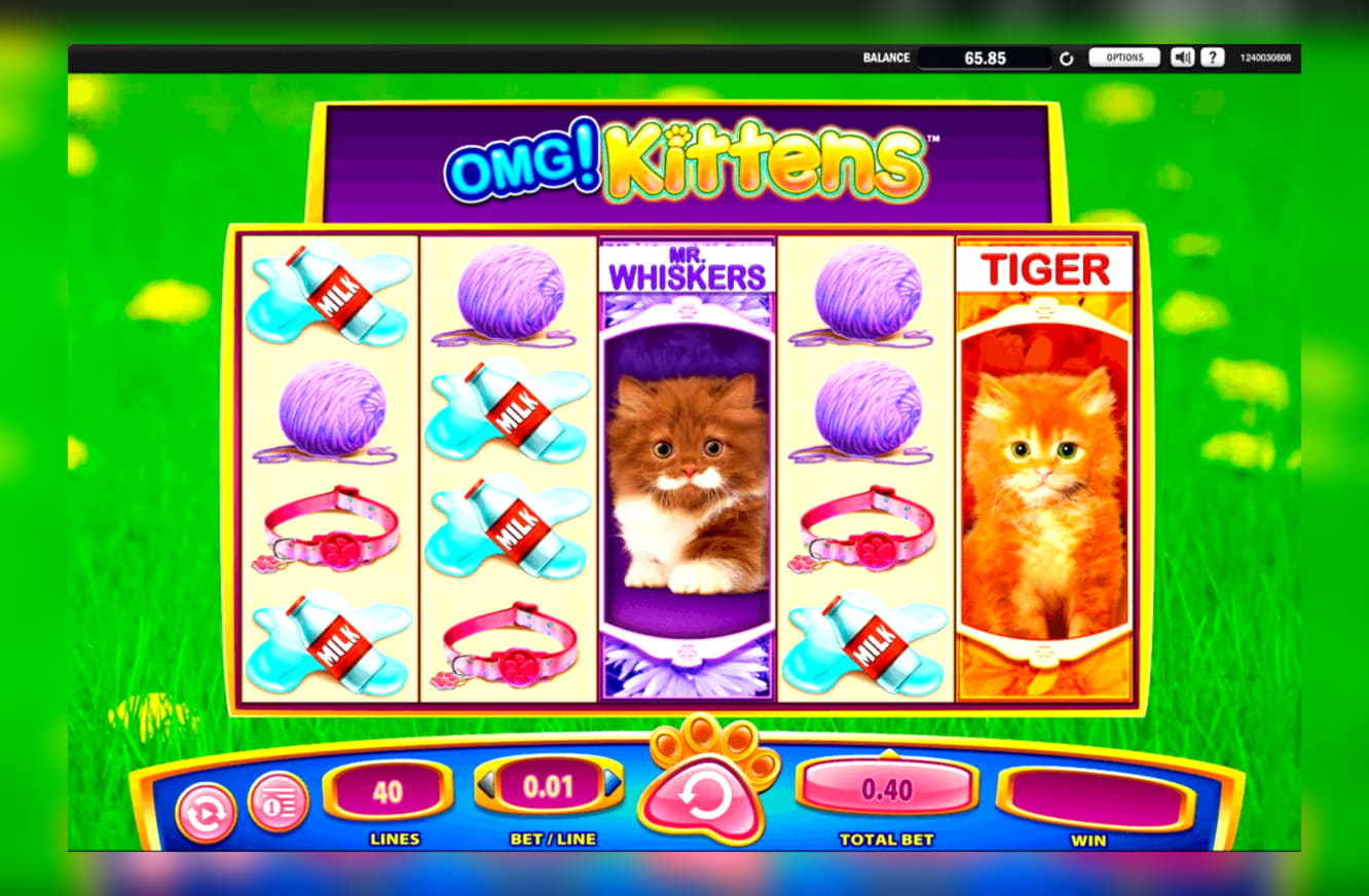 875% Casino Welcome Bonus at Fruity Casa Casino