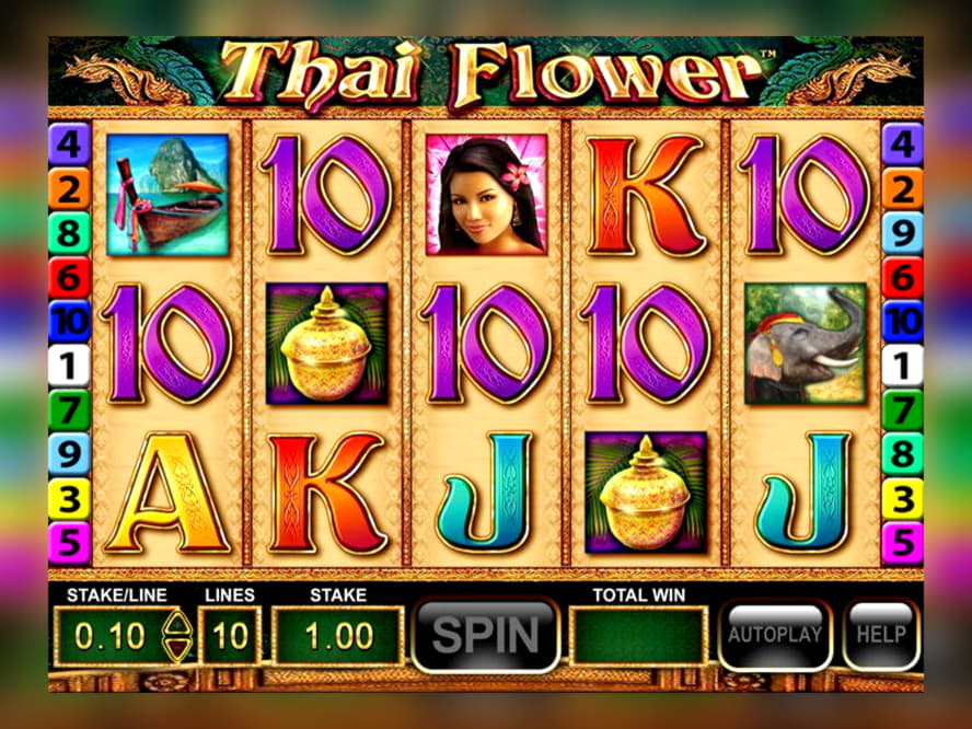 €495 Free chip casino at Net Bet Casino