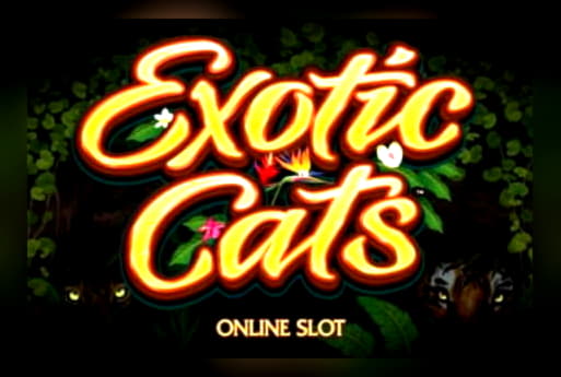 140% Match Bonus at Betway Casino