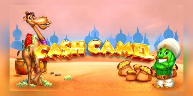 EUR 2505 no deposit bonus casino at Mr. Win Casino