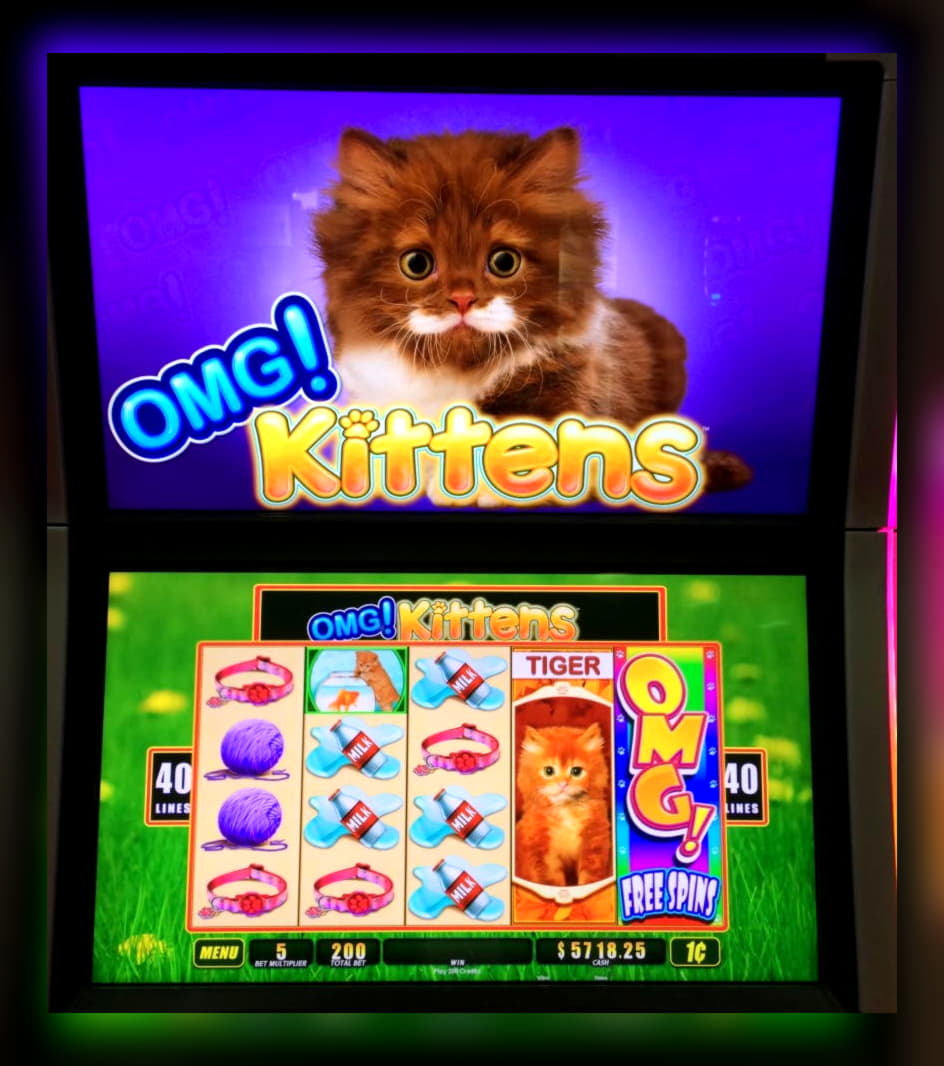 Eur 3050 No Deposit at Royal Panda Casino