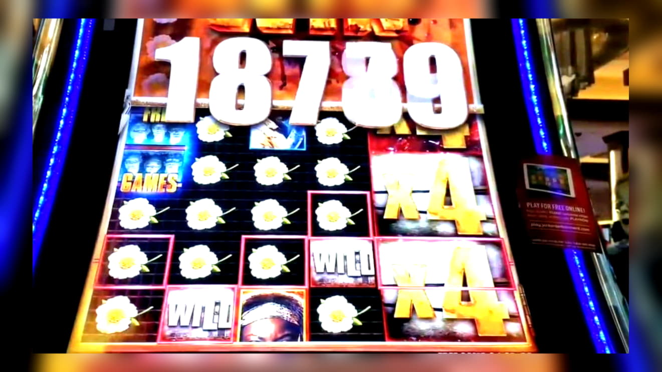 665% No Rules Bonus! at BGO Casino