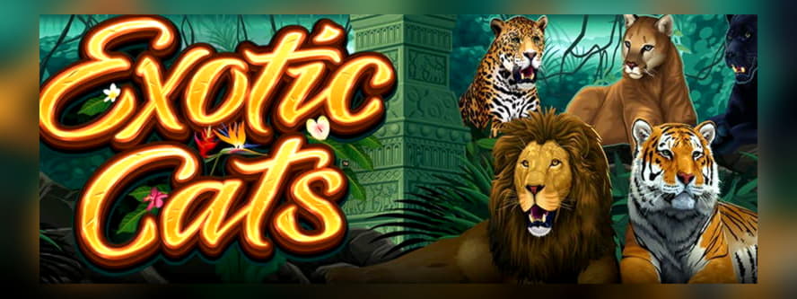 EURO 3830 No deposit bonus casino at Bet At Home Casino