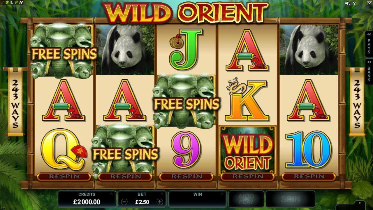 €3520 No Deposit Bonus Code at Tony Bet Casino