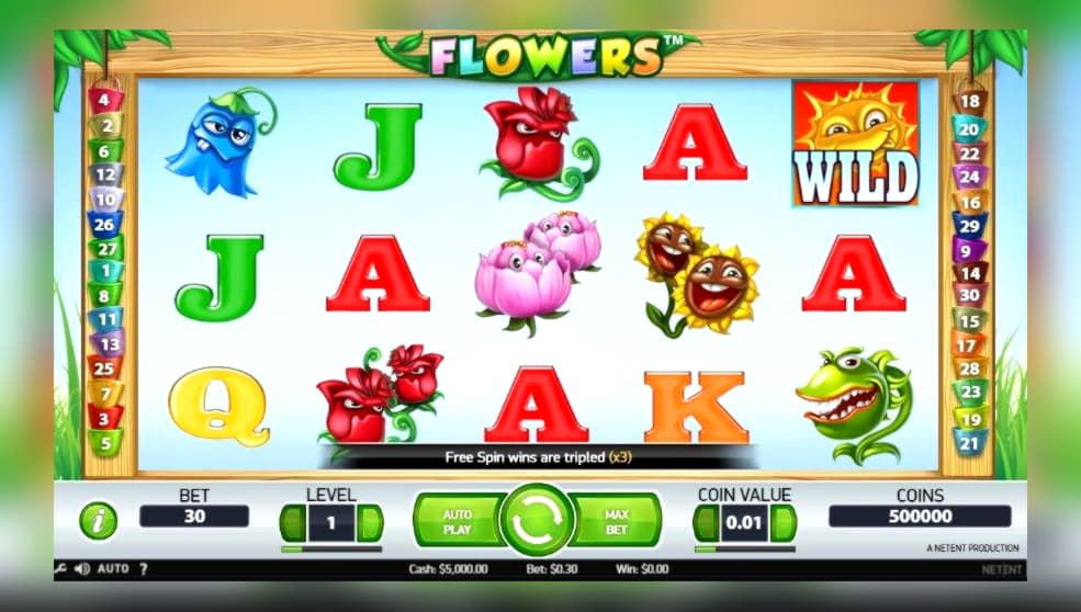 310% No Rules Bonus! at Mega Casino