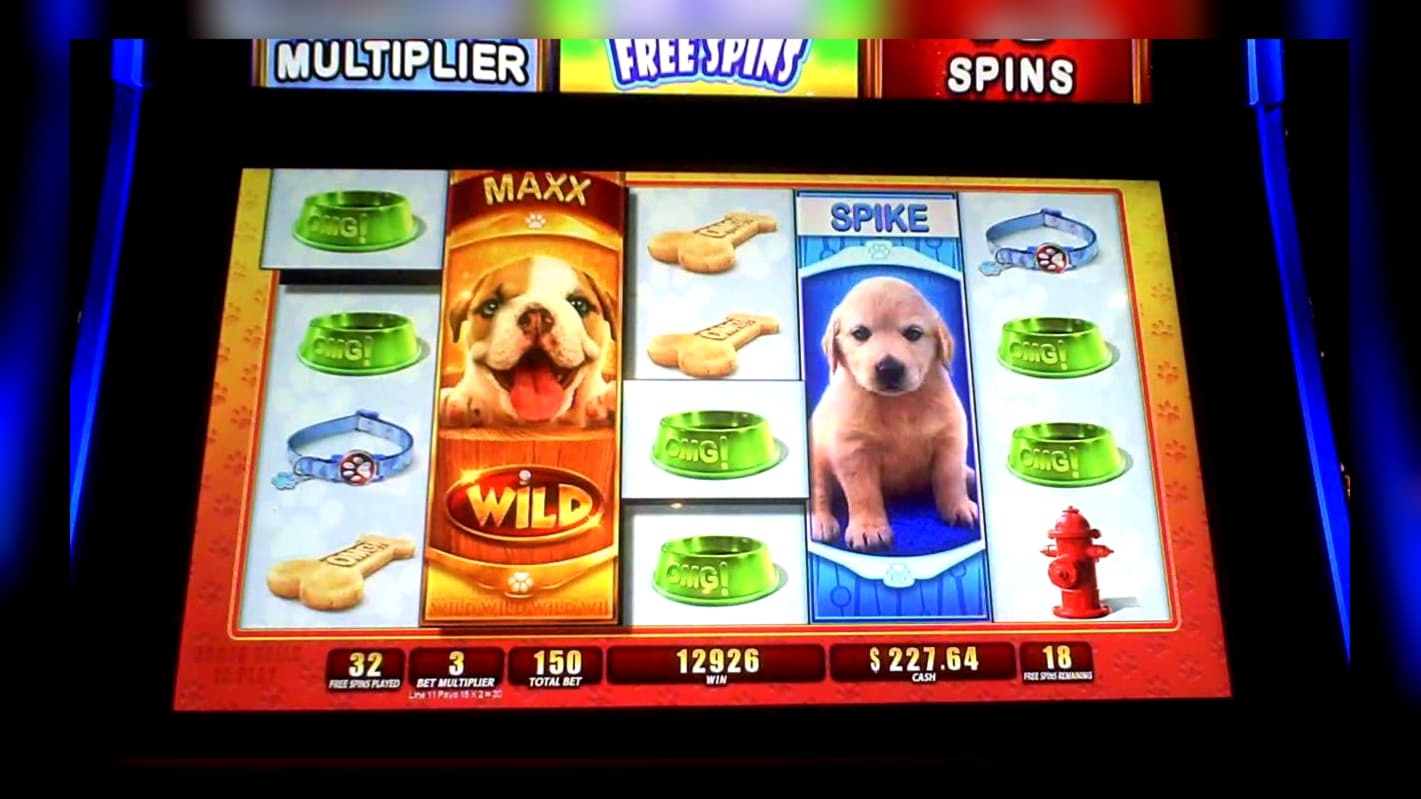 40 FREE SPINS at Rizk Casino
