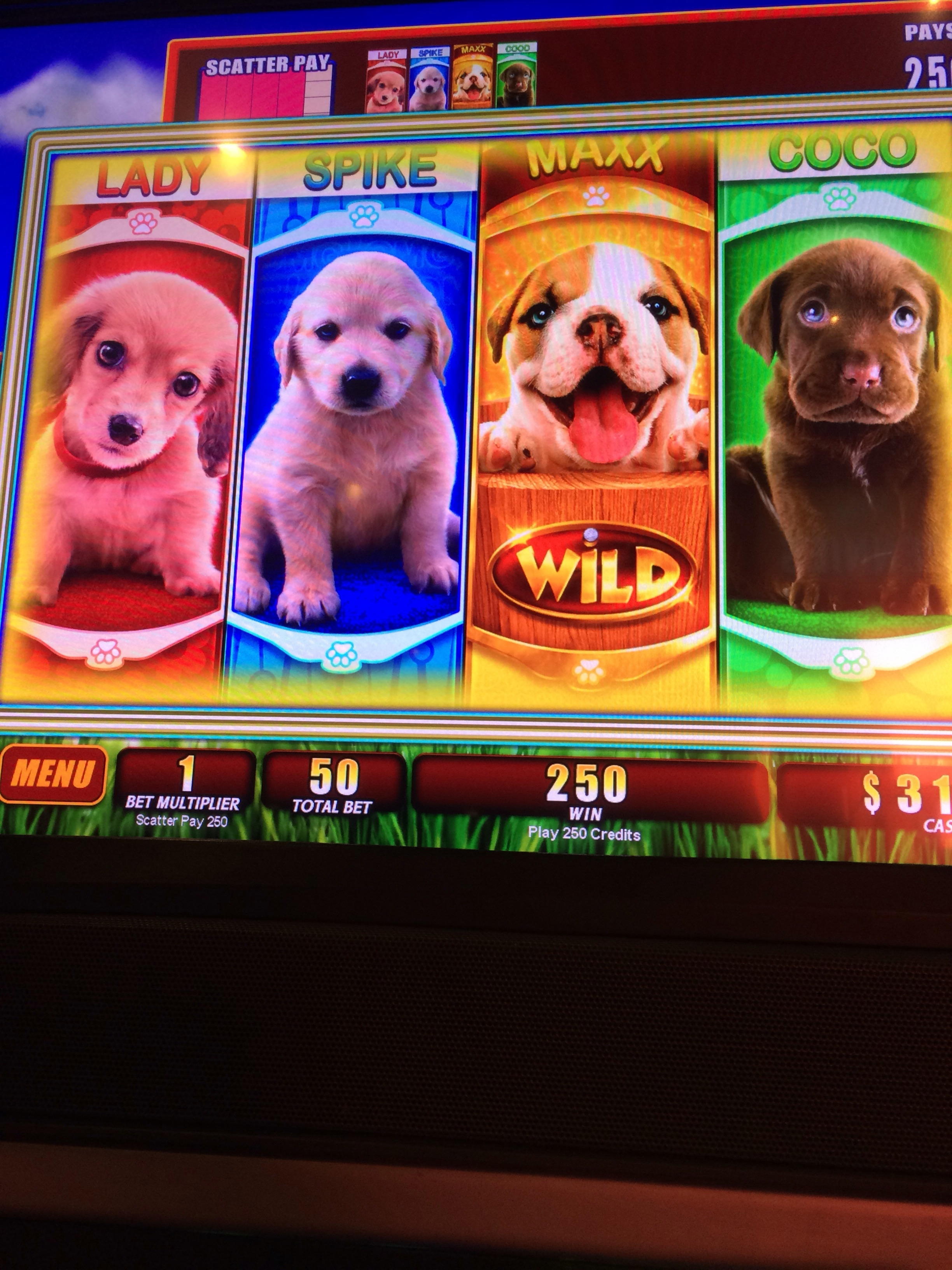 265 free spins at Bet At Home Casino