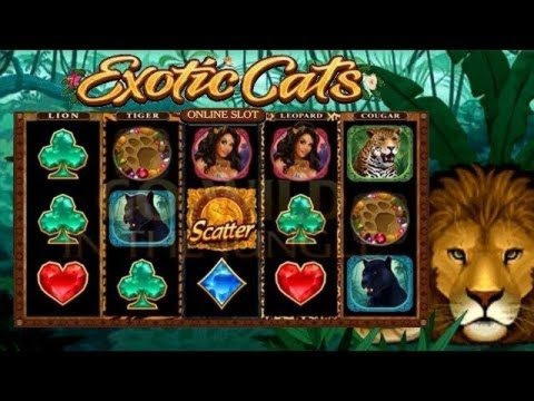 255 Loyalty Free Spins! at Party Casino