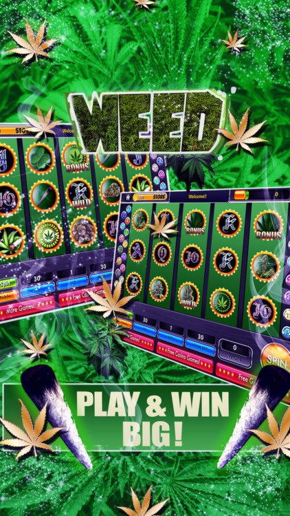 33 free spins no deposit at Spinland Casino