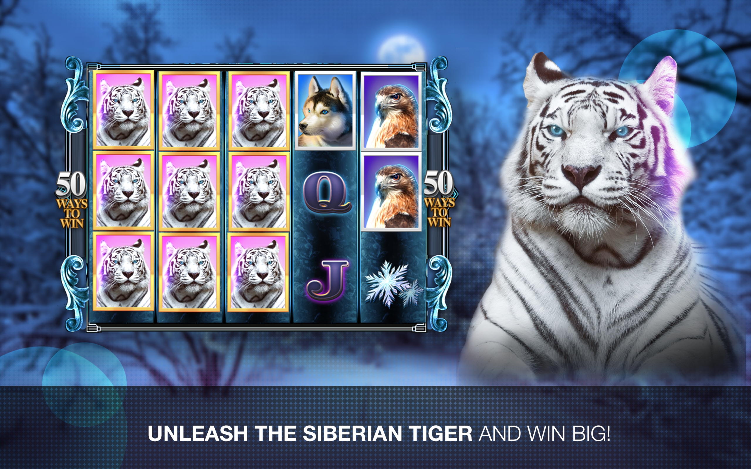 €3640 No deposit bonus at Spin Palace Casino