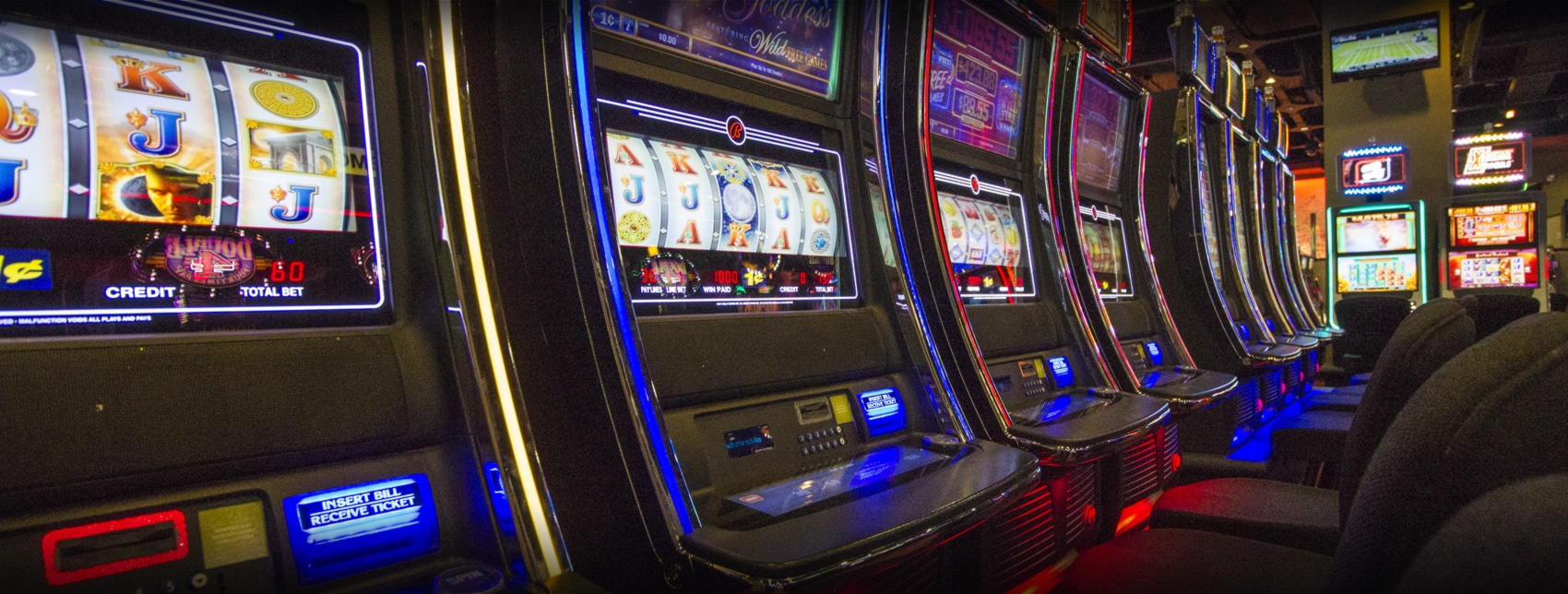€175 NO DEPOSIT BONUS CODE at Spin Palace Casino