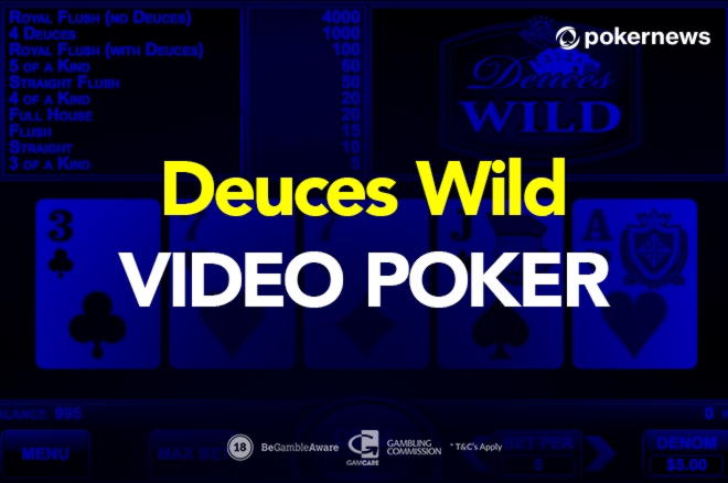 455% Match Bonus at Ikibu Casino