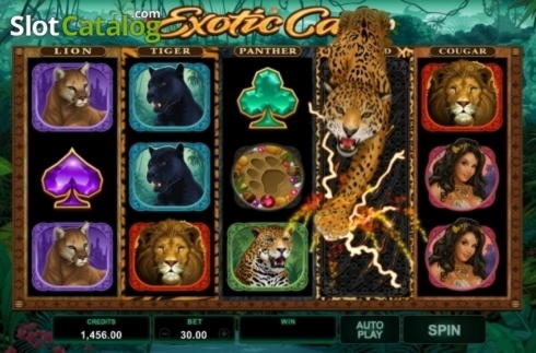 590% Signup casino bonus at Casino-X