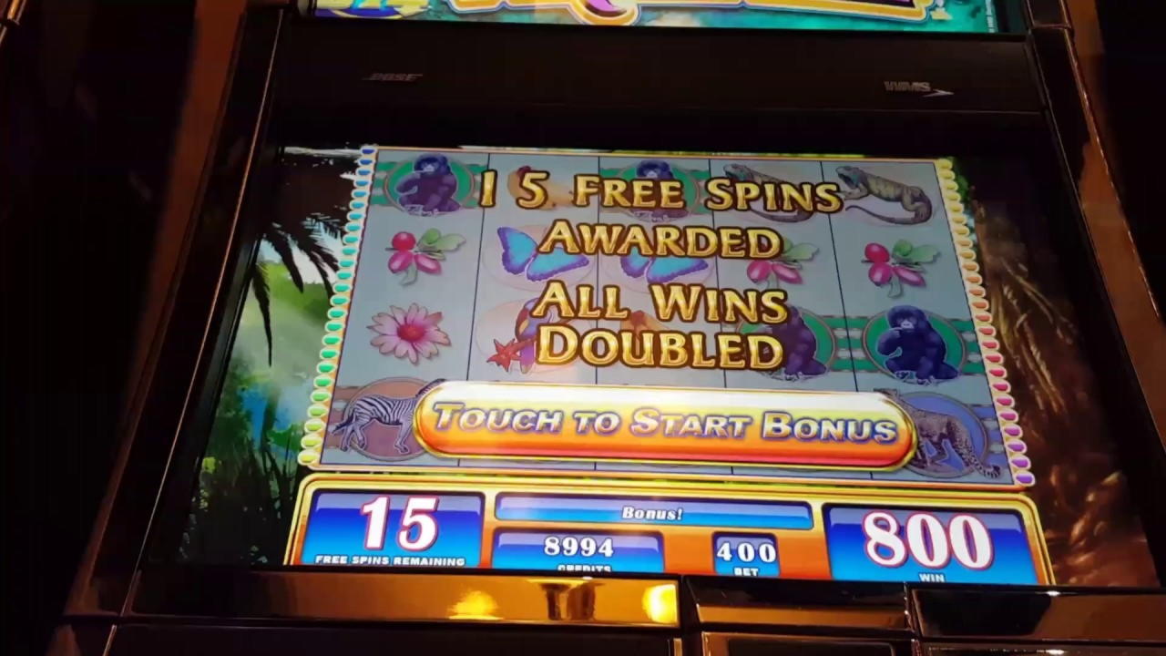 $805 no deposit at Wink Slots Casino