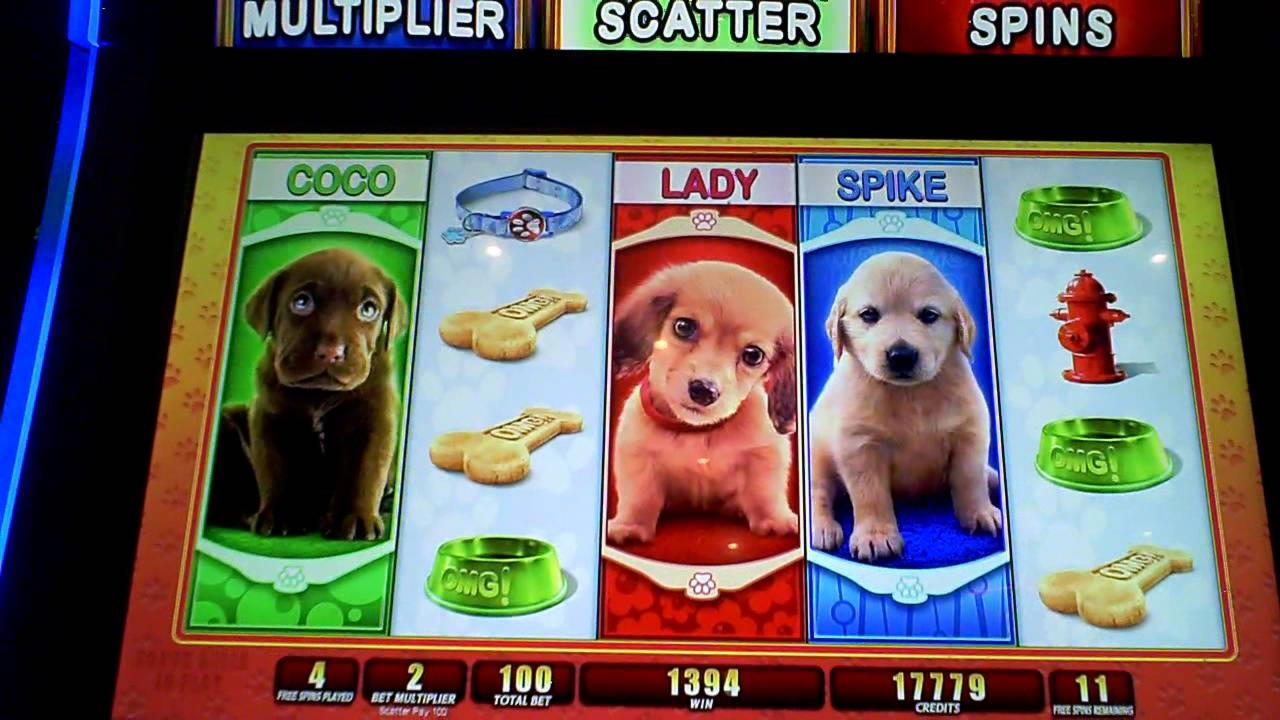 245% Best signup bonus casino at Vegas Hero Casino
