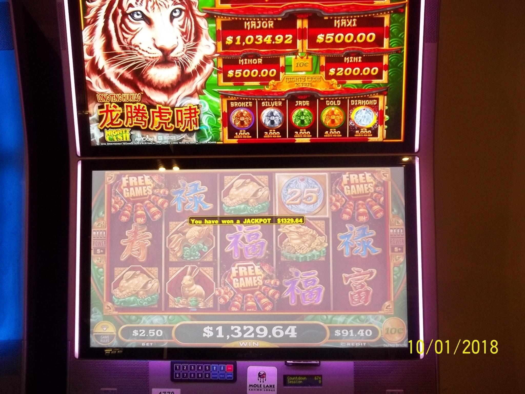 495% Match Bonus at Ikibu Casino