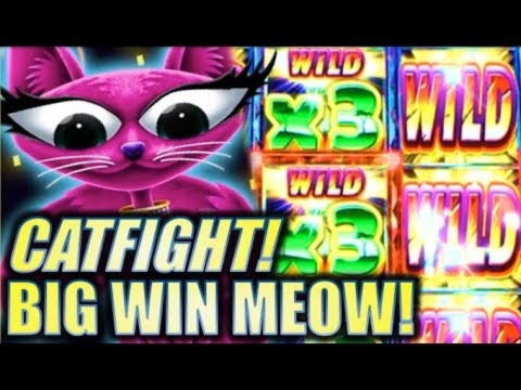 ﻿$560 Free Chip Casino at Party Casino