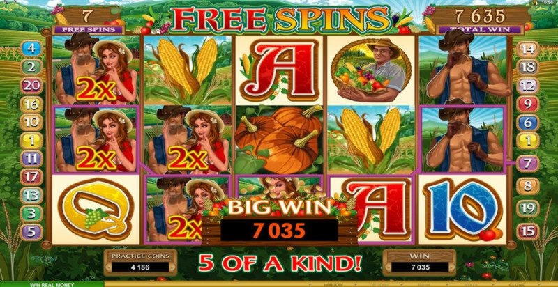 Eur 99 Free Chip Casino at Fruity Casa Casino
