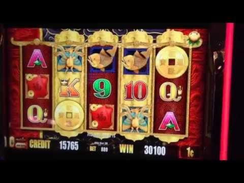 95 Free Spins right now at Mr. Win Casino
