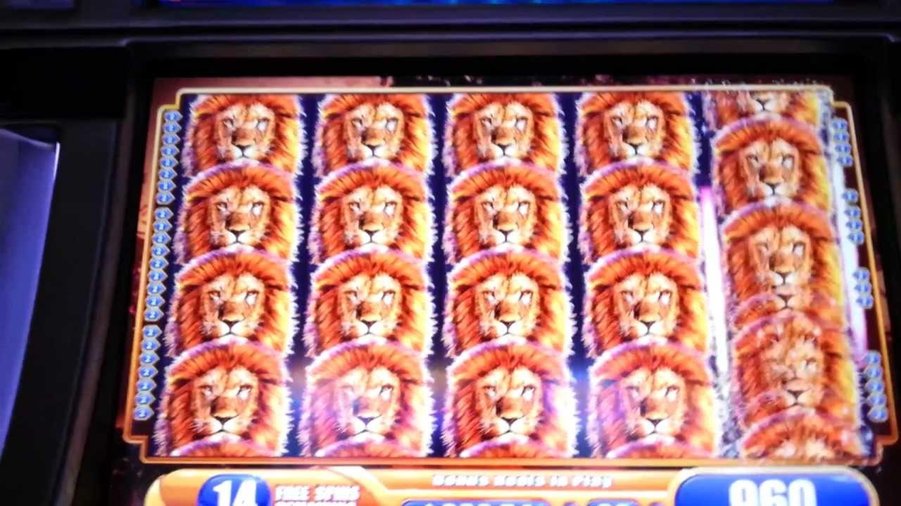 665% Match at a Casino at Spin Palace Casino