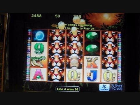 755% Match bonus casino at Net Bet Casino